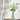 Botanical Sheer|Curtains
