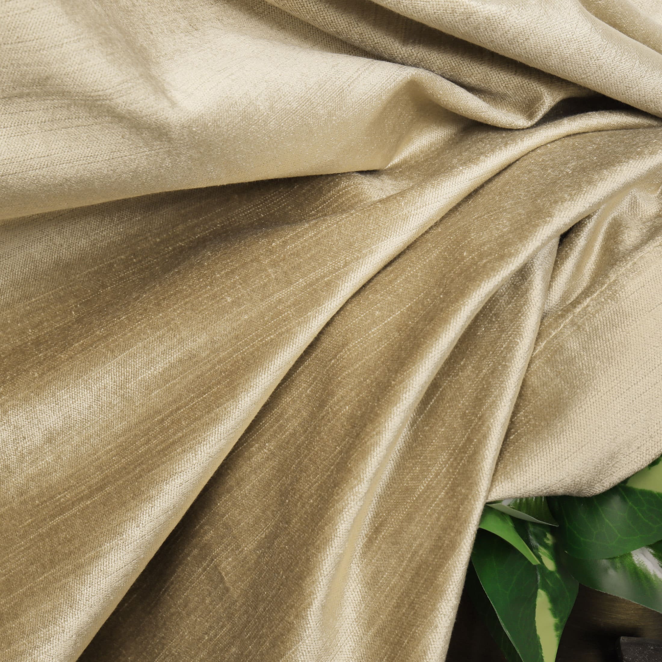 Luxe Velvet|Sample