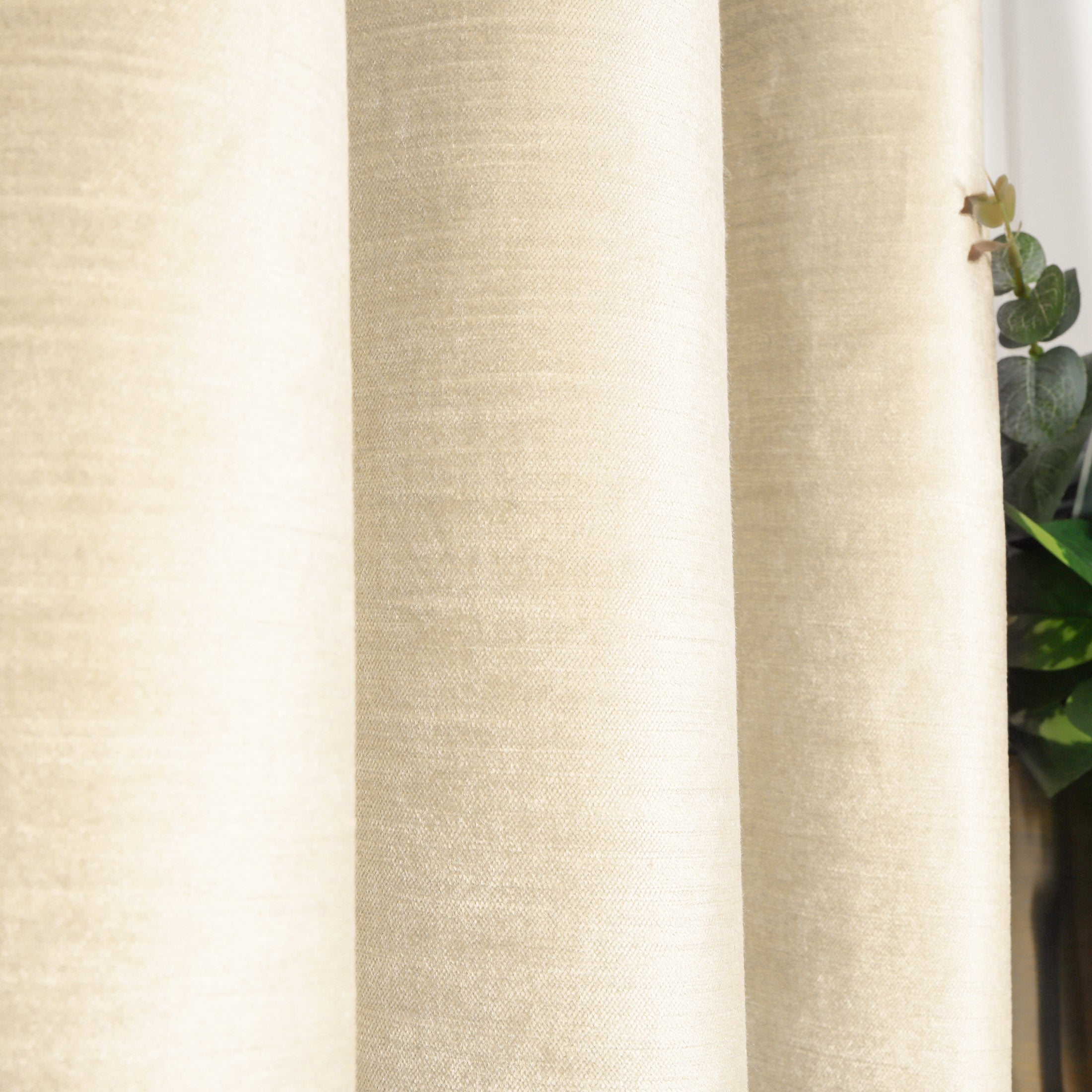 Luxe Velvet|Curtains