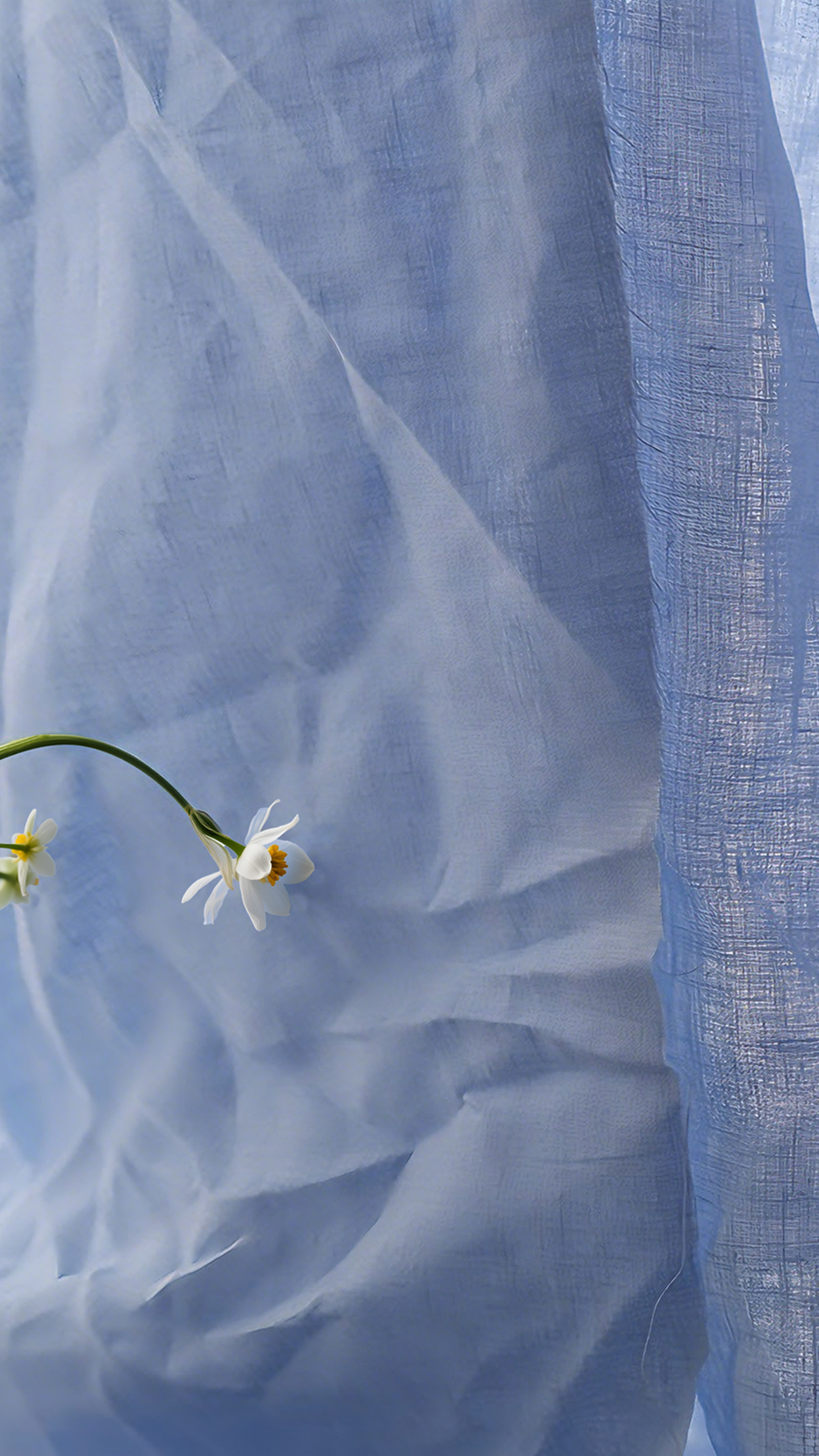 Mellow Linen|Sample