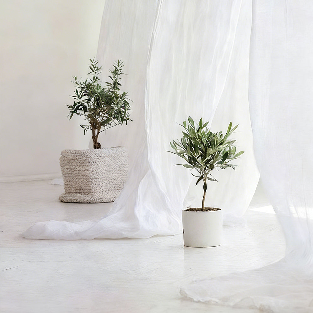 Sunlit Linen Sheer|Sample